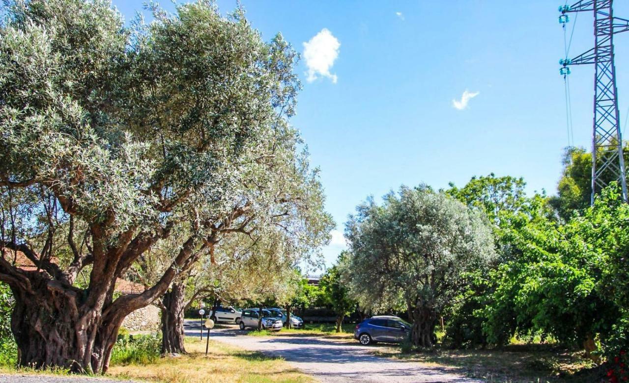 Country House Paola Marina di Gioiosa Ionica Zewnętrze zdjęcie